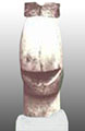 Brancusi Capetenia Brancusi Capetenia